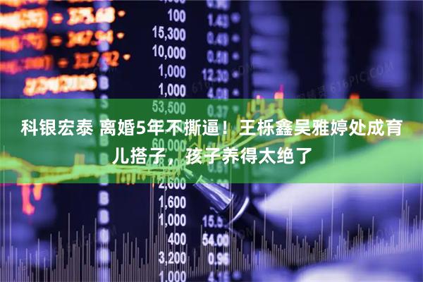 科银宏泰 离婚5年不撕逼！王栎鑫吴雅婷处成育儿搭子，孩子养得太绝了