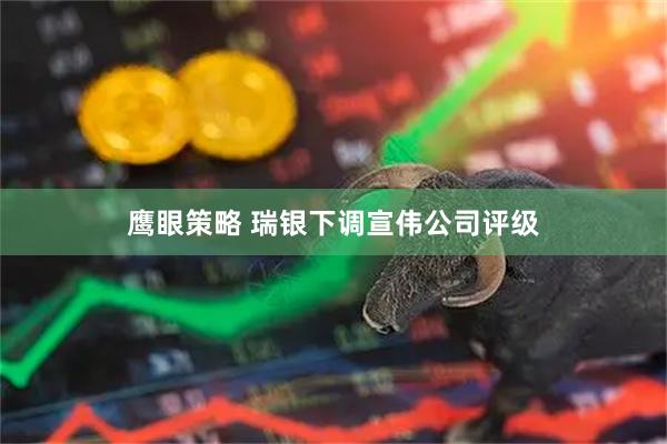鹰眼策略 瑞银下调宣伟公司评级