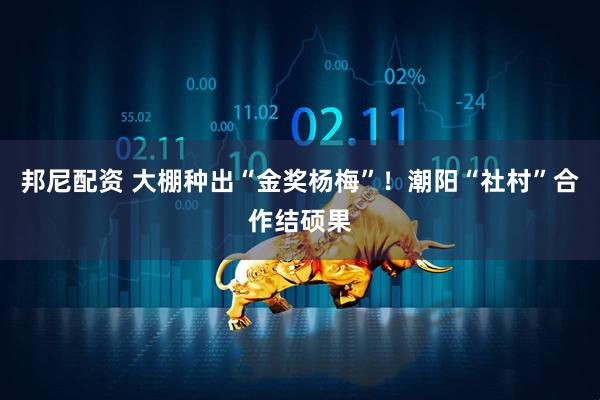 邦尼配资 大棚种出“金奖杨梅”！潮阳“社村”合作结硕果