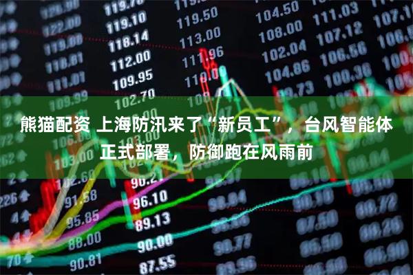 熊猫配资 上海防汛来了“新员工”，台风智能体正式部署，防御跑在风雨前